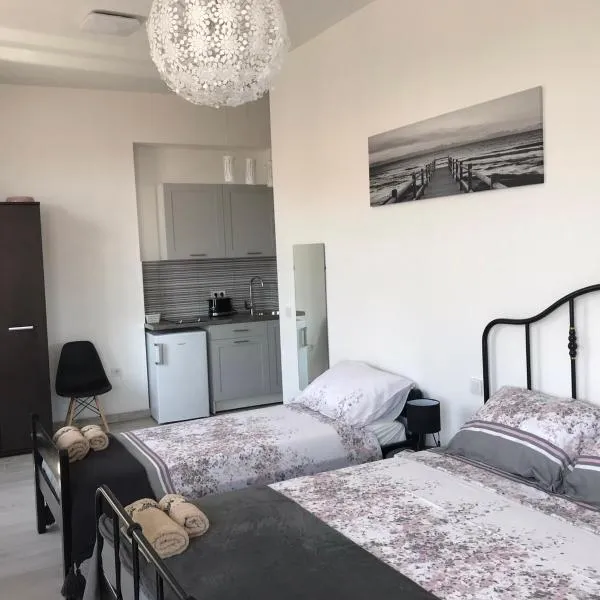 STUDIO APARTMANI PAOLA, מלון בוולוסקו