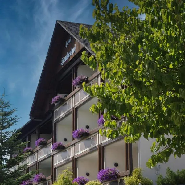 Landhotel Henkenhof Willingen, hotel a Willingen