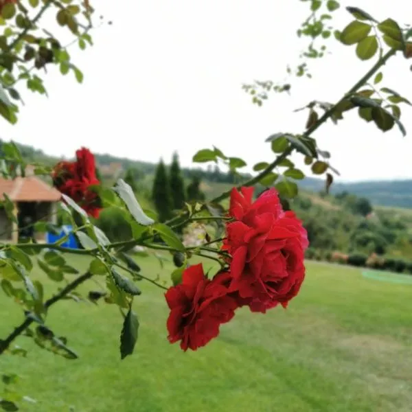 Domaćinstvo Sinđelić, hotell Ivanjicas