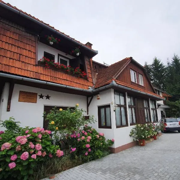 Pensiunea Schneider, Hotel in Covasna