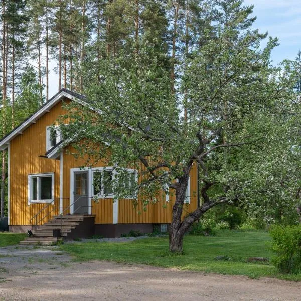 Björkbo, Old farm with modern conveniences, Hotel in Sysmä