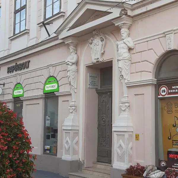 Főtér Apartman Baja, hotel din Baja