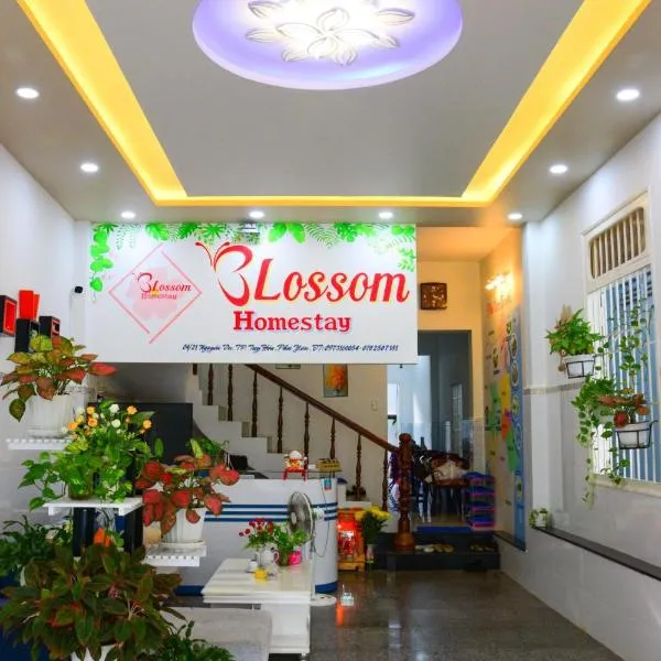 Blossom Homestay, hotel i Tuy Hoa