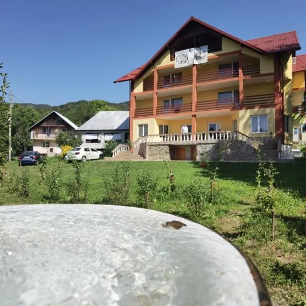 Casa Dobrin, hotell i Bărăşti