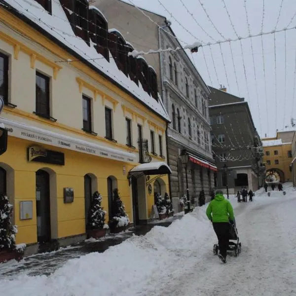 Penzión ÁTRIUM, hotel u gradu Sabinov