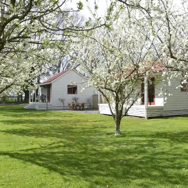 Terracotta Lodge & Cottages, hotel v destinaci Masterton