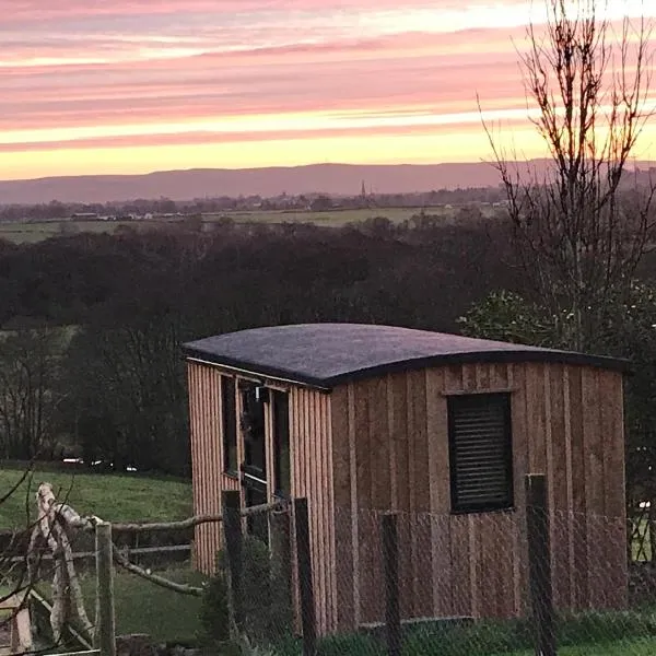 Stunning Shepherds Hut rural bliss Dumfries – hotel w mieście Dumfries