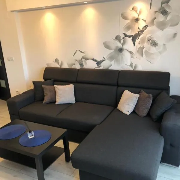 Apartament modern Târgoviște în regim hotelier, Hotel in Târgovişte