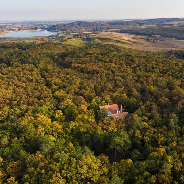 Zseri Vadászház, hotel sa Mór