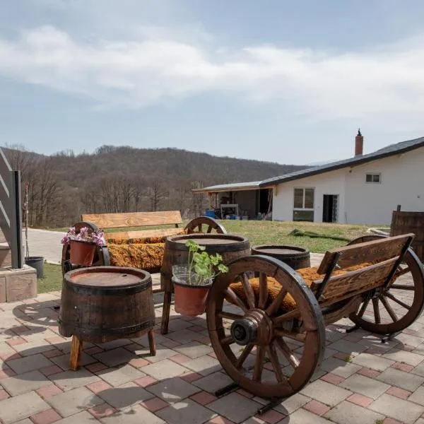 KONAK LJUBICA Rtanj, Hotel in Boljevac