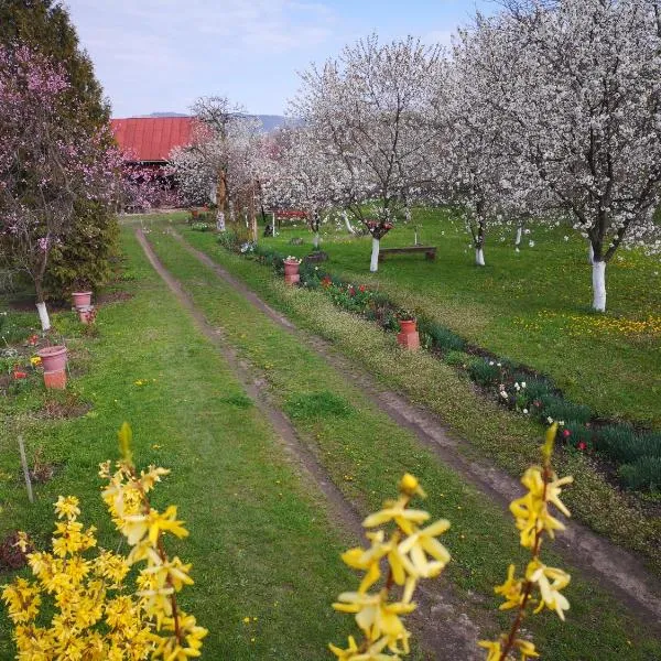 Casa Livada Bunicii, hotelli kohteessa Tîrgu Ocna