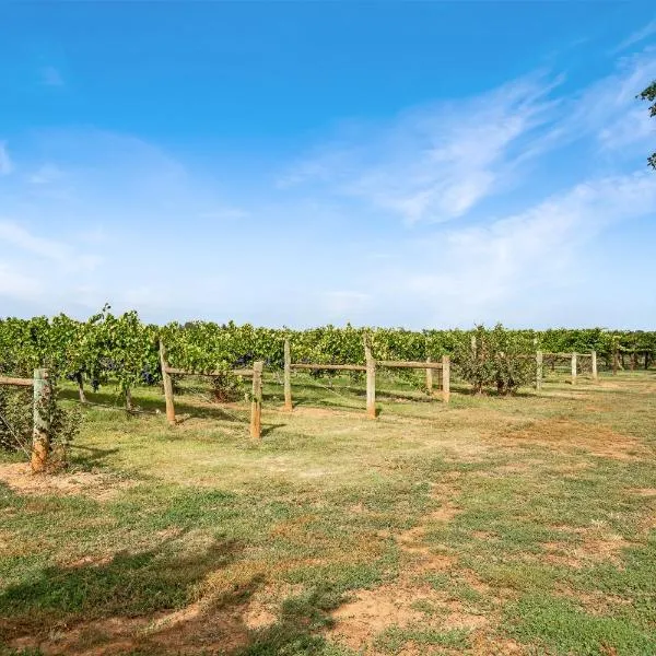 Viesnīca Milawa Vineyard Views - Guesthouse 2 pilsētā Vangareta