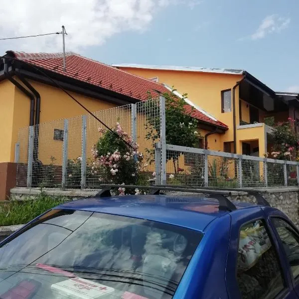 Casa Darius, viešbutis mieste (( Vîrciorova ))