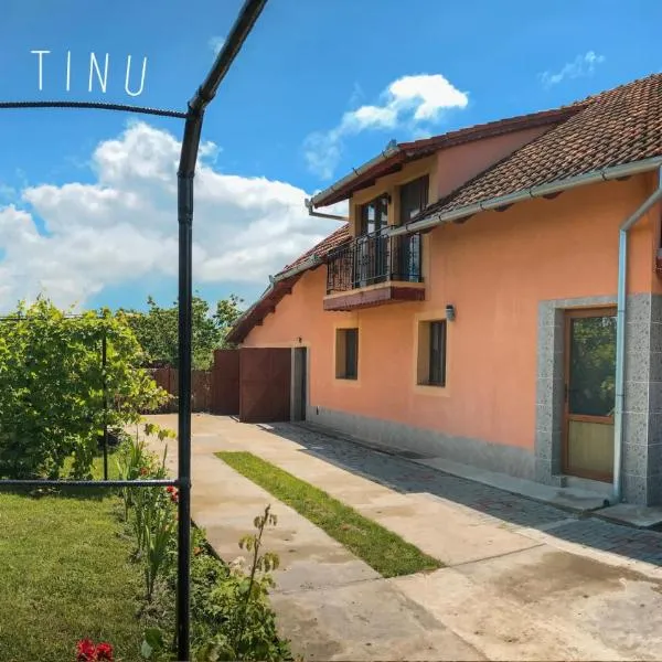 Casa Tinu, hotelli kohteessa Nădlac