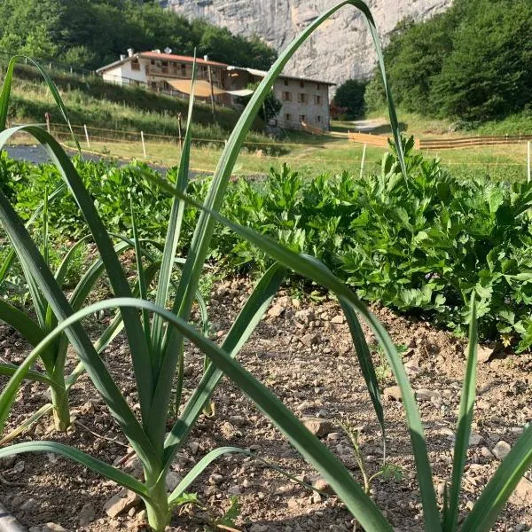 Limarò B&B, hotel di Molveno