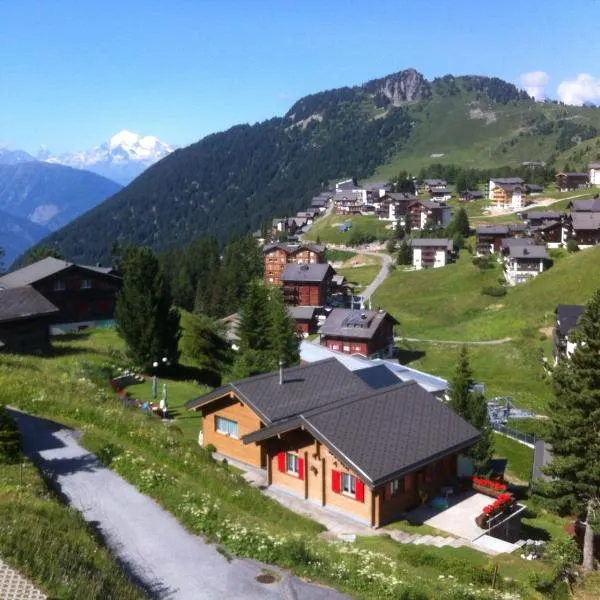 Chalet Enzian, hotel v mestu Riederalp