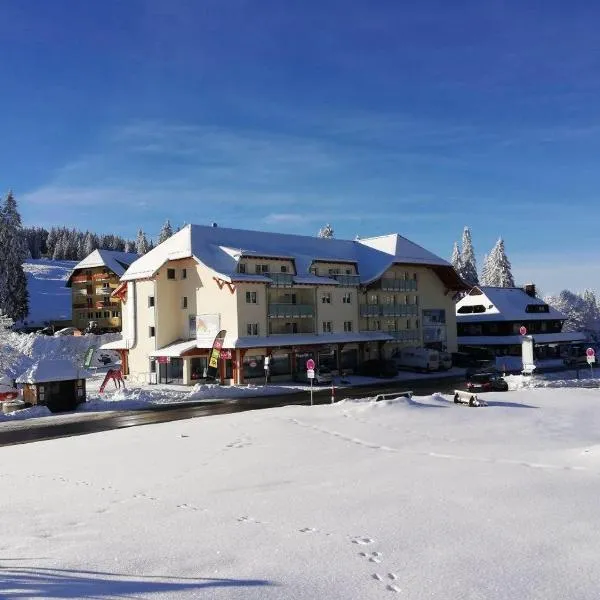 Bergkristall, hotel sa Feldberg