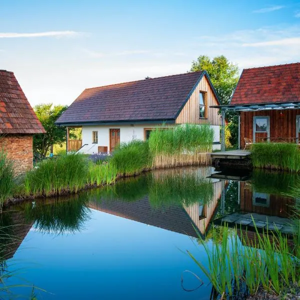 Ferienhaus mit privaten Schwimmteich und Sauna, hotel u gradu 'Riegersburg'