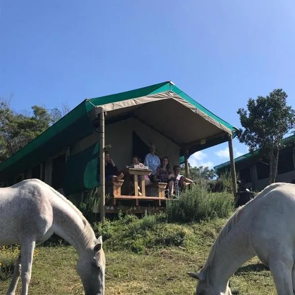 Trees&Seas - Glamping with farm animals, hotell Wildernessis