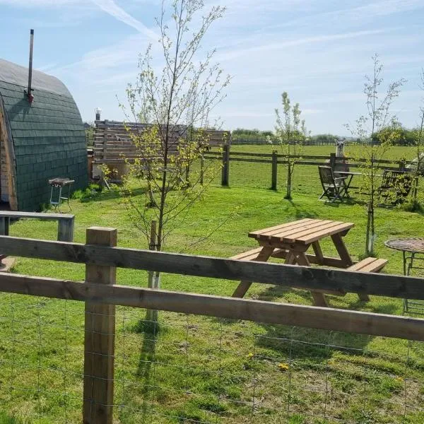 Skipbridge farm glamping, отель в Йорке