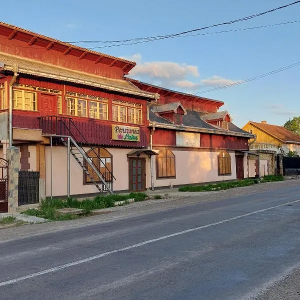 Lotus, hotel in Dorohoi