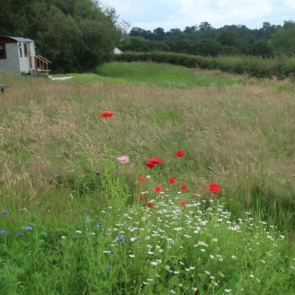 Little Idyll shepherds hut, hotel v mestu Chester