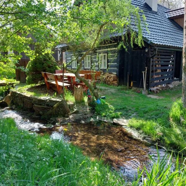 Roubenka u potoka Výprachtice, hotel v destinaci Dolní Morava