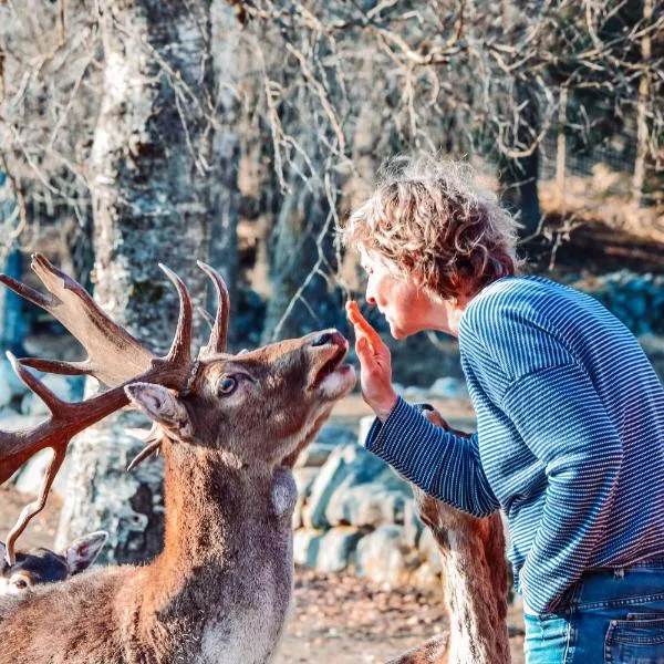 Damwildfarm in Rollerbü Südschweden, hotel en Hässleholm