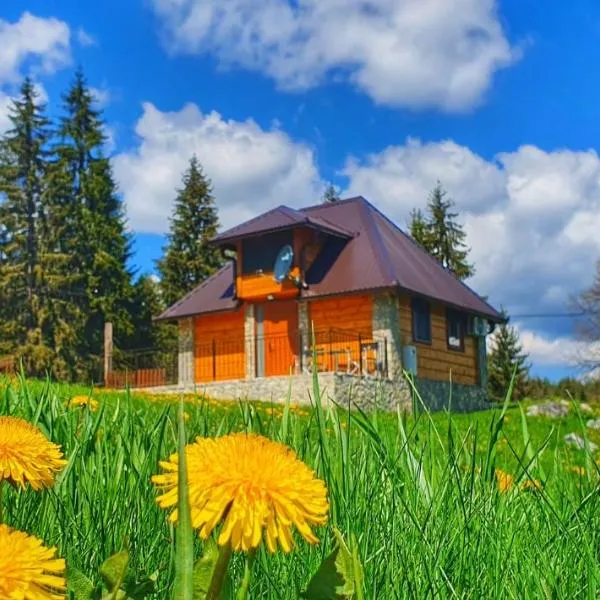 Apartmani Nišićka Oaza, hotel di Sarajevo