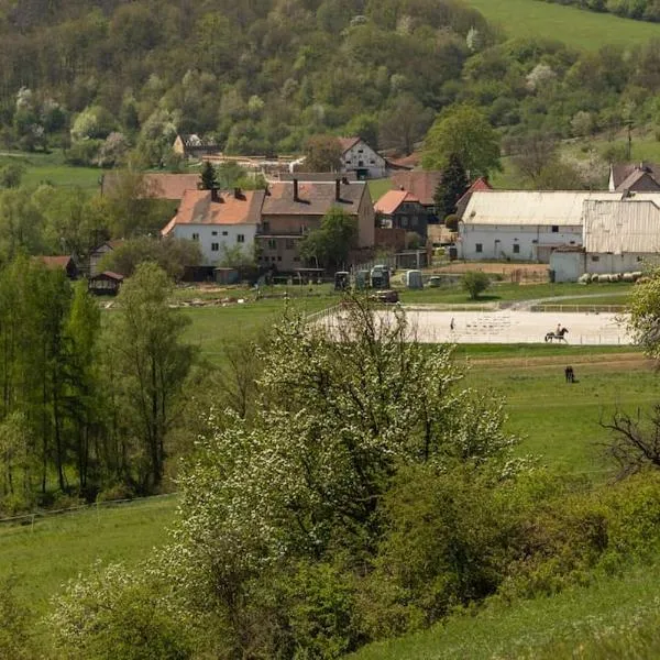 Ubytování v apartmánu, 2 ložnice, na farmě, хотел в Bžany