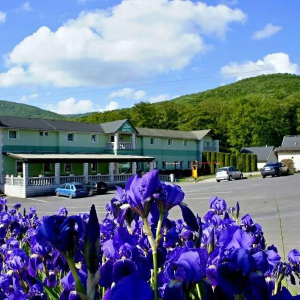 Hotel Biele Studničky Dargov, hotell i Trebišov