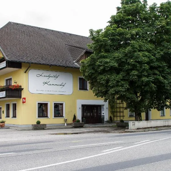 Landgasthof Kammerhof, hotel di Traisen