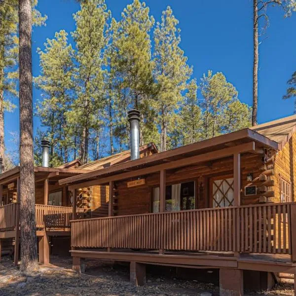 Forest Cabin 2 Birds Nest, hotel en Payson