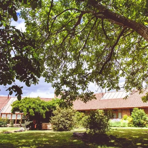 Posada Los Mimbres, hotel v destinaci Gaiman