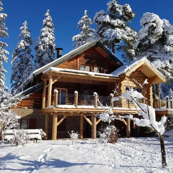 Magnifique chalet en rondins avec sauna - Vercors, מלון בווילארד-דה-לאנס