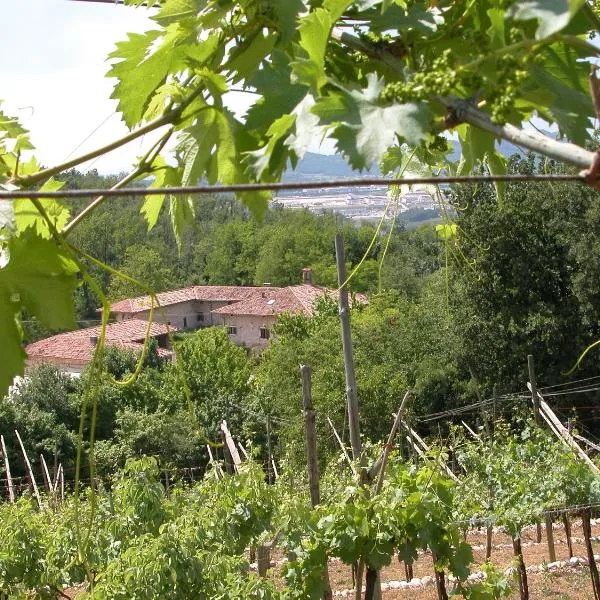 Agriturismo Ca' Verde, хотел в Сант'Амброджо ди Валполичела