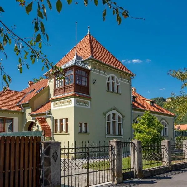 Clasic Haus Sighisoara โรงแรมในซิวิโชอารา