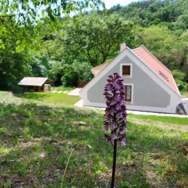 Kosbor Vendégház, hotel a Köveskál