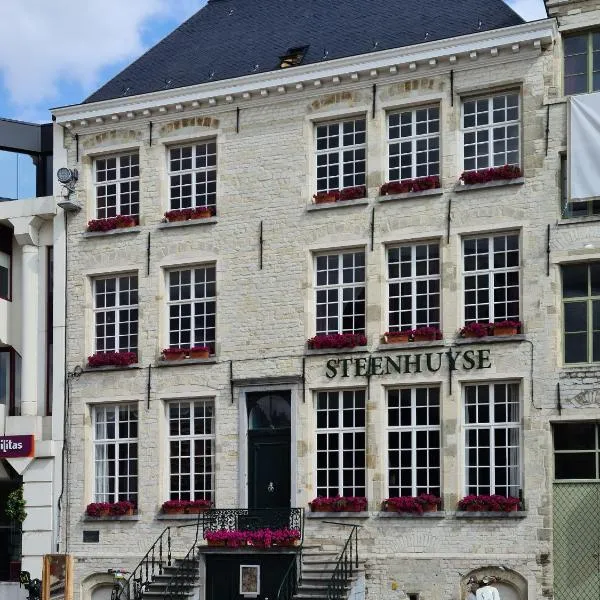 Hotel Restaurant Steenhuyse – hotel w mieście Oudenaarde