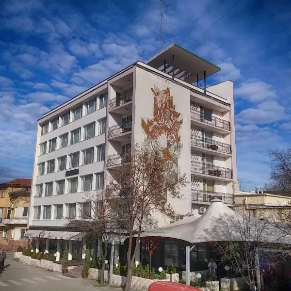 Bononia Hotel, hotell sihtkohas Vidin