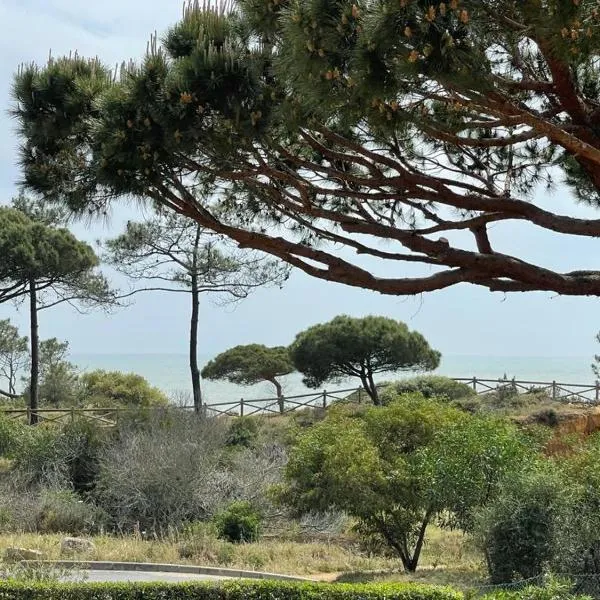 Praia da Falésia Alfa Mar Albufeira, hotel di Olhos de Agua