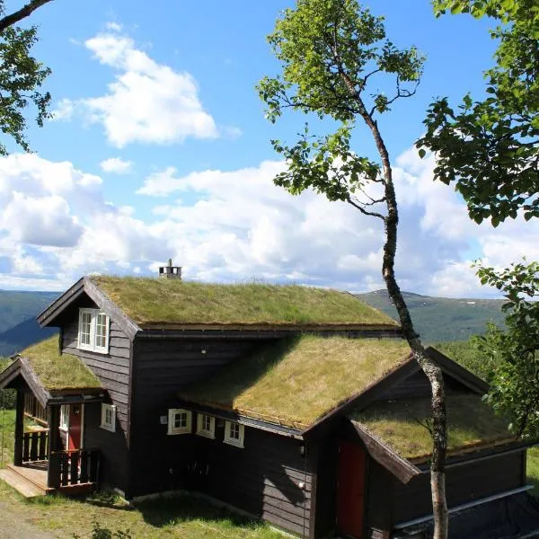 Storemyr by Norgesbooking - cabin with amazing view、オールのホテル