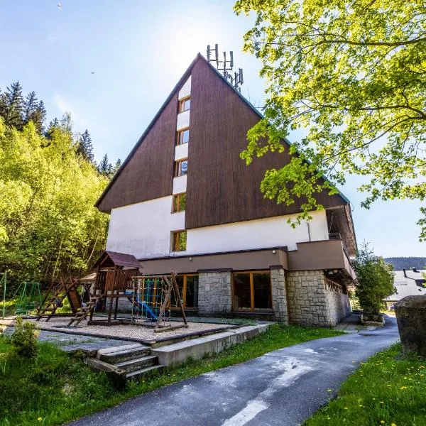 Parkhotel Harrachov, hotel en Harrachov