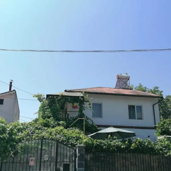 Vila Didi, Mangalia, отель в Нептуне