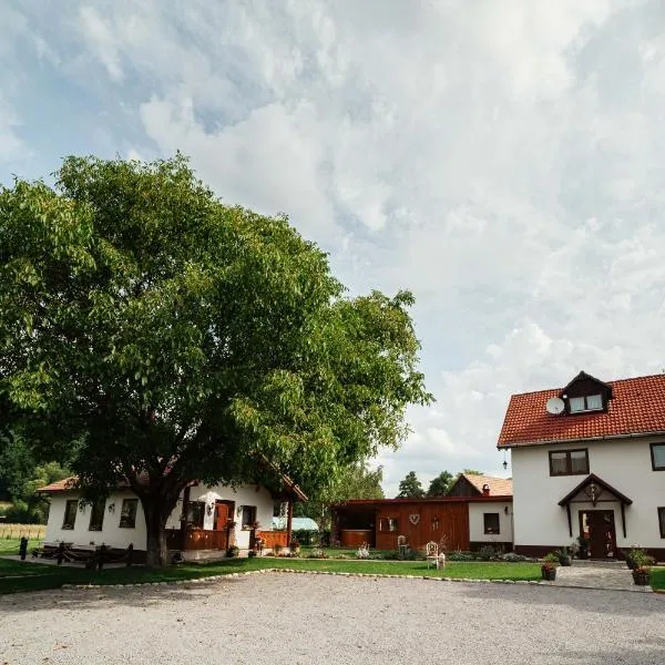 Vén Diófa, hotell i Zetea