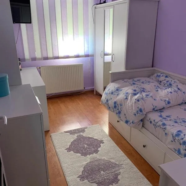 Apartament Onesti, hotel em Onesti