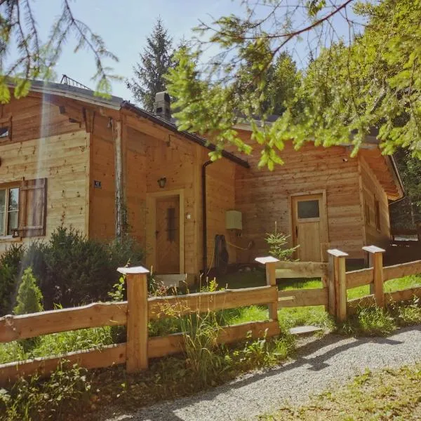 Stodingerhütte, готель у Зальцбурзі