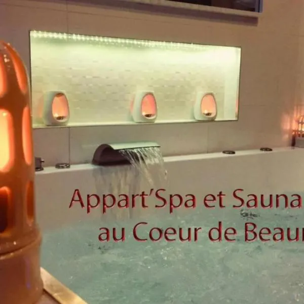 Appart' Spa et Sauna Privatif Au Cœur De Beaune, hotelli kohteessa Beaune