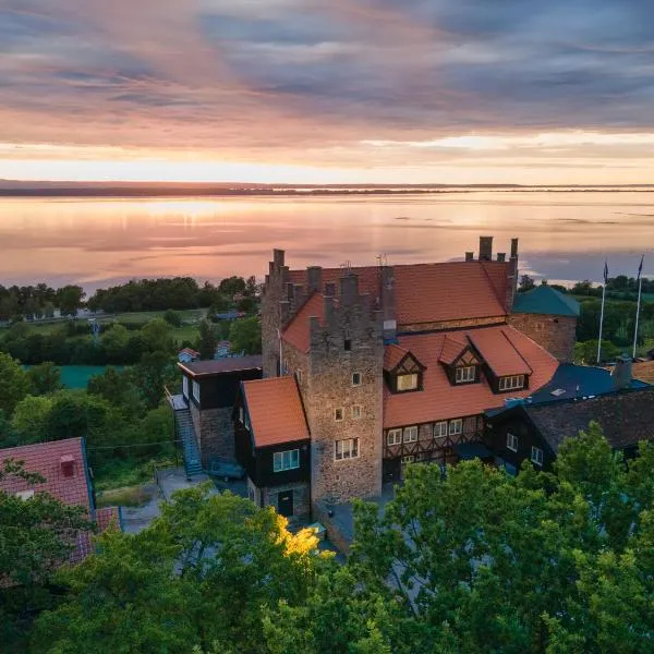 Hotel Gyllene Uttern, hotel i Gränna