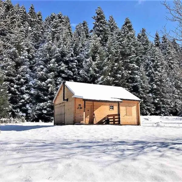 Wood Cabin by the River - for Nature Lovers, hotel a Tripoli (Tripolis)